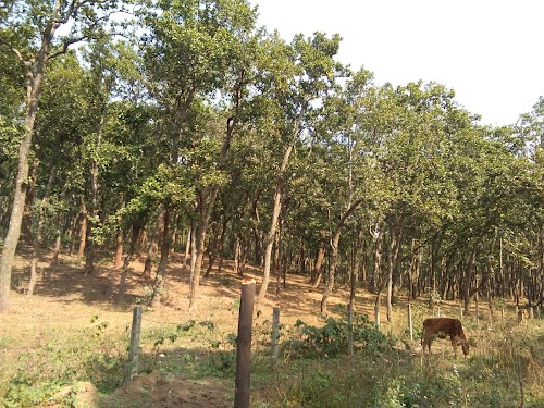 Bhrigu Kamandal - Photo 2