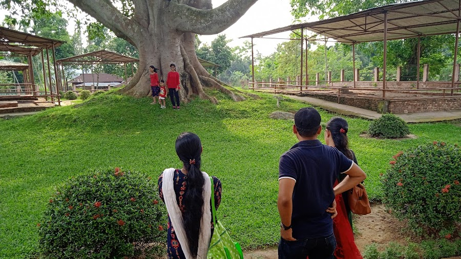 Pilak Historical Palace (Shyam Sundar Ashram) - Photo 9