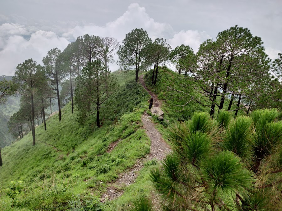 Gilbert Trail - Photo 3
