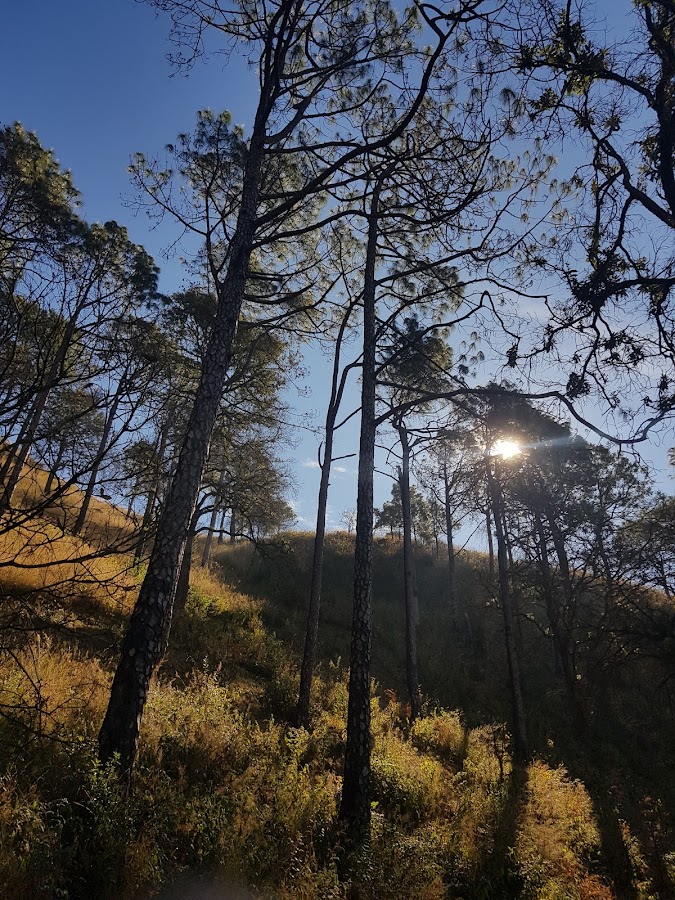 Gilbert Trail - Photo 4