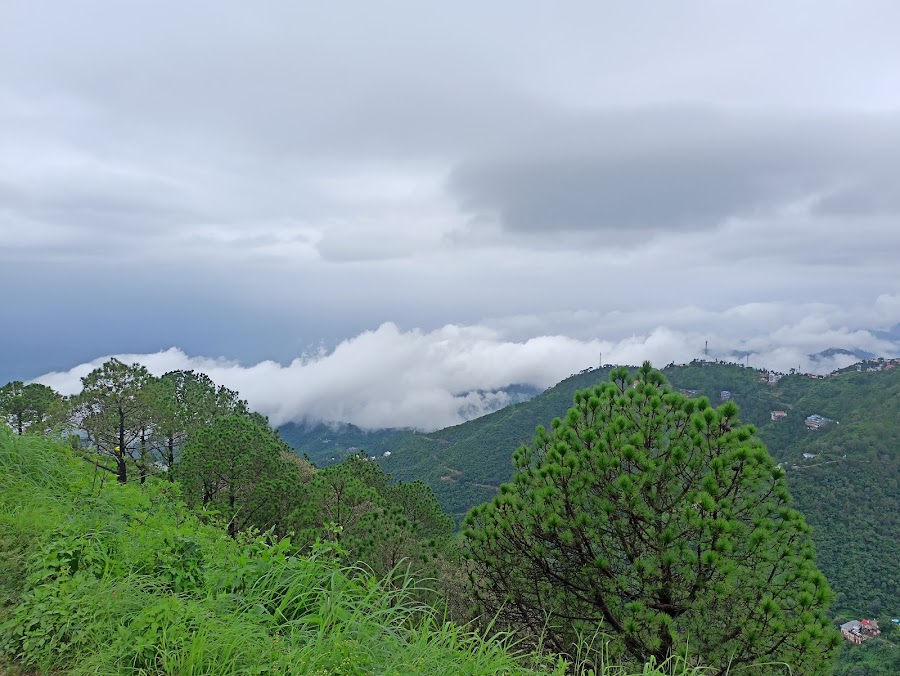 Gilbert Trail - Photo 2