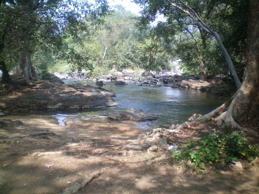 Hogenakkal Falls - Photo 4