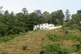 Chaubatia Gardens - Photo 2