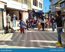 Theog Town Market - Photo 2