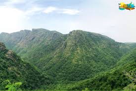 Kolli Hills - Photo 2