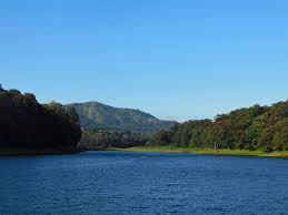 Thekkady - Photo 2