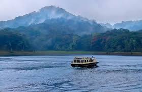 Thekkady - Photo 3